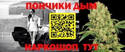 прущие грибы Апшеронск