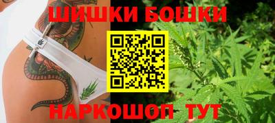 прущие грибы Апшеронск