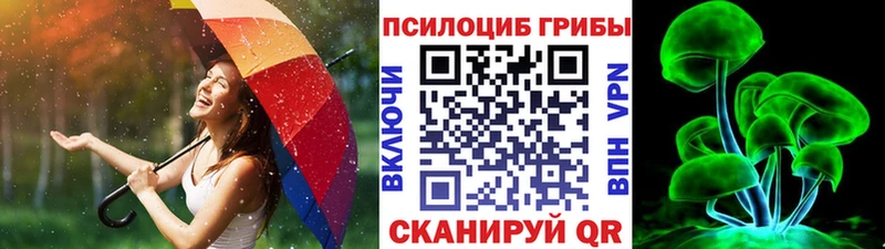 где купить наркоту  Ханты-Мансийск  Псилоцибиновые грибы мухоморы 