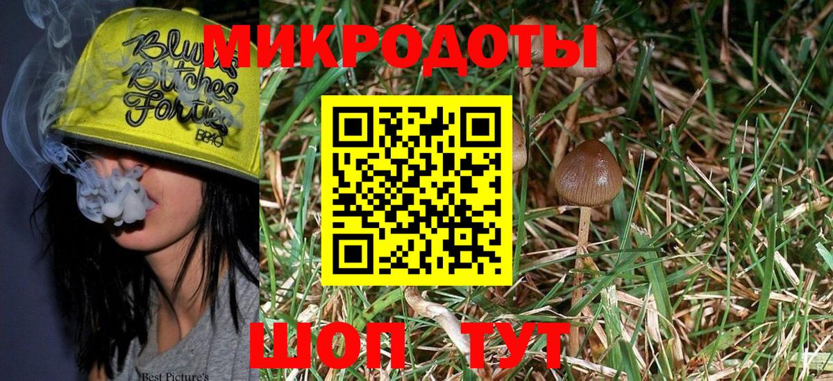 Галлюциногенные грибы Psilocybine cubensis  цены   Ханты-Мансийск  Псилоцибиновые грибы Psilocybe 